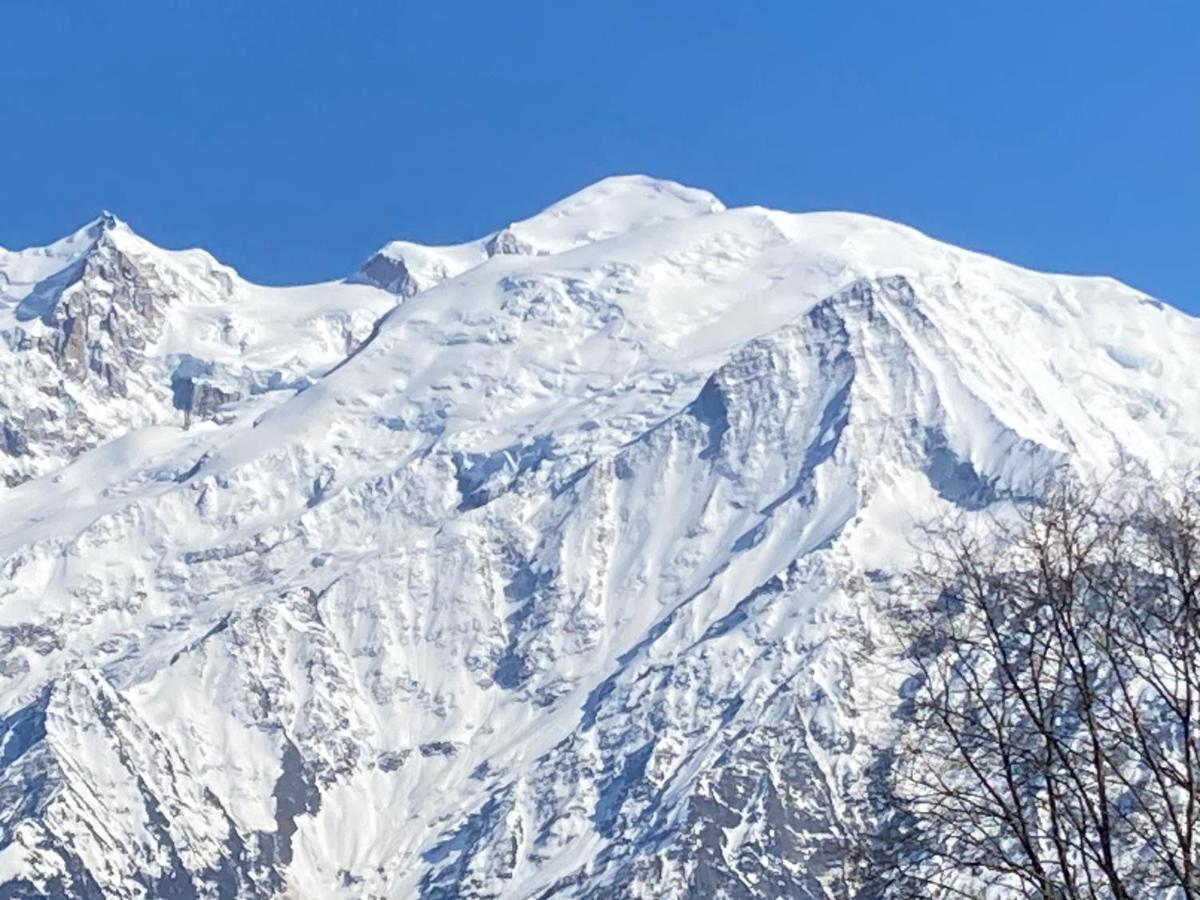 Les Edelweiss Mont-Blanc - Gite Classe 3 Etoiles 帕西 外观 照片