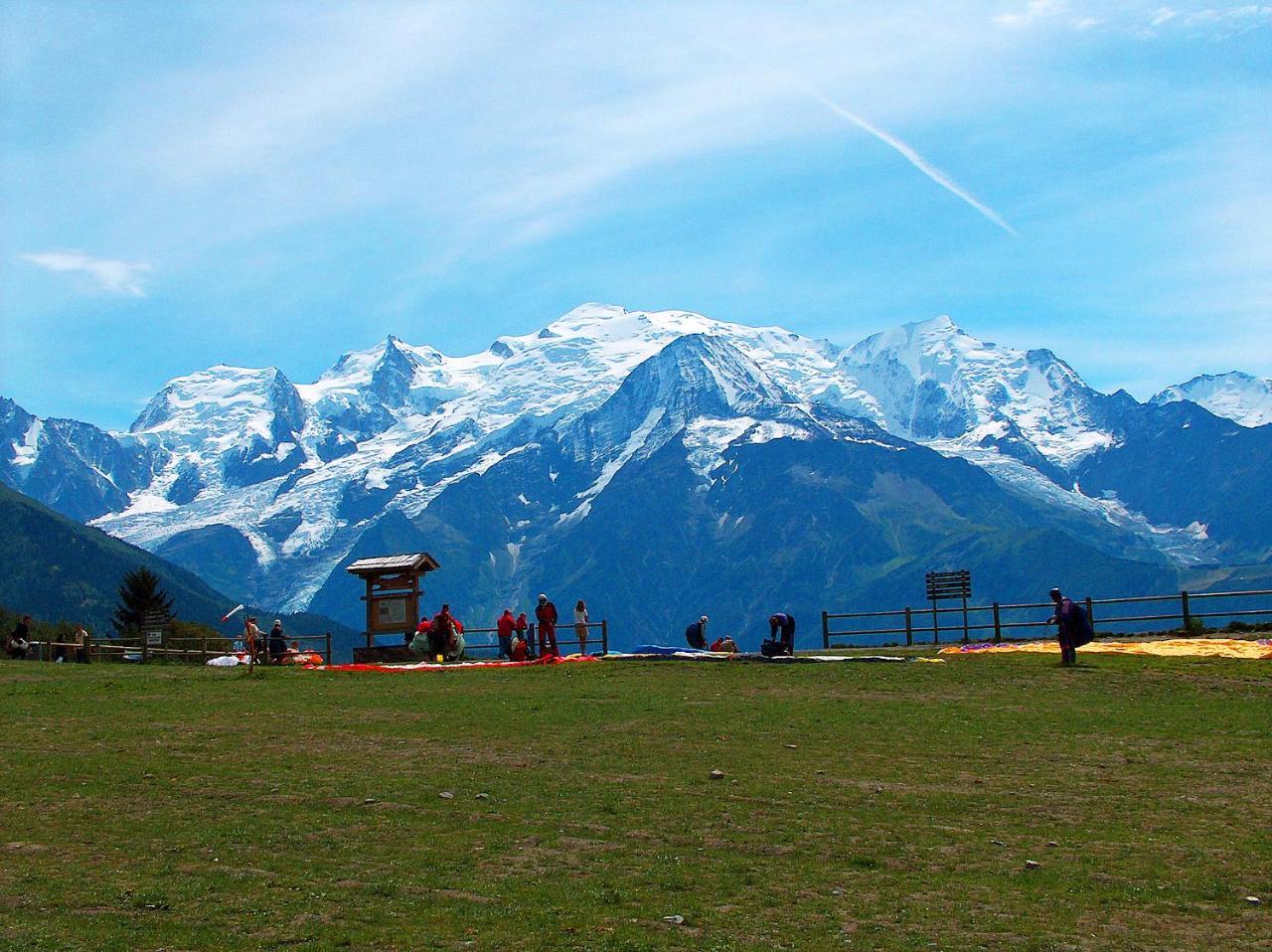 Les Edelweiss Mont-Blanc - Gite Classe 3 Etoiles 帕西 外观 照片