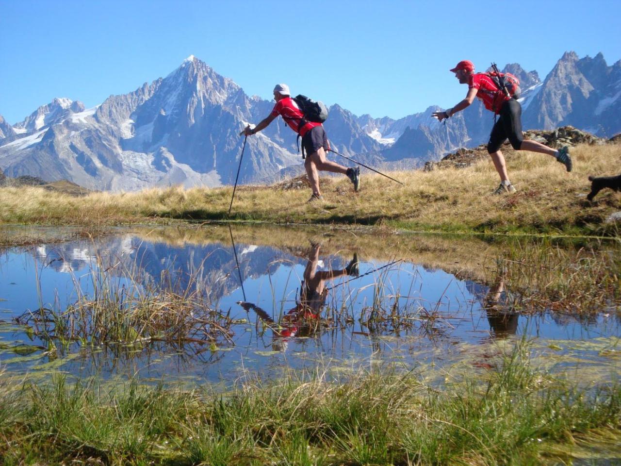 Les Edelweiss Mont-Blanc - Gite Classe 3 Etoiles 帕西 外观 照片
