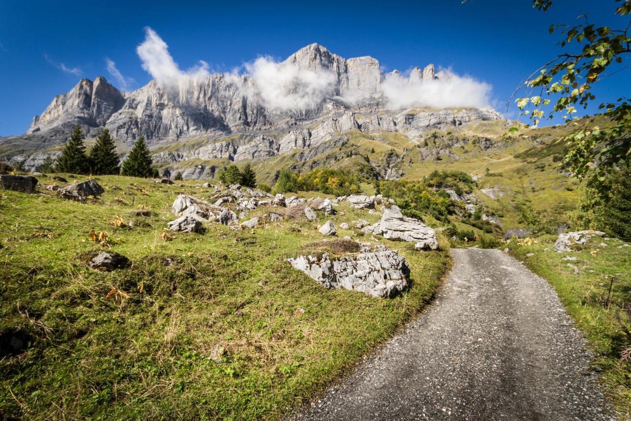 Les Edelweiss Mont-Blanc - Gite Classe 3 Etoiles 帕西 外观 照片